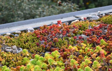 the cost of Merlins Cross green roof installation