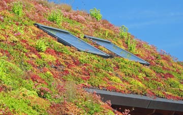 Merlins Cross living roof systems